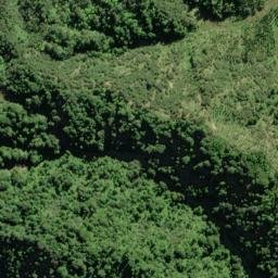 Satellite imagery of E AUTAWA, NZ
