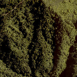 Satellite imagery of MAUNGAROA, NZ