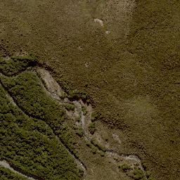 Satellite imagery of 11271, NZ