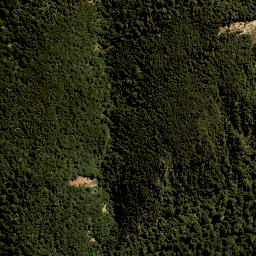 Satellite imagery of 11291, NZ