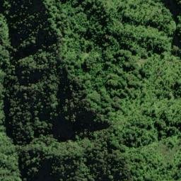 Satellite imagery of E AUTAWA, NZ