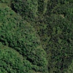 Satellite imagery of 11081, NZ