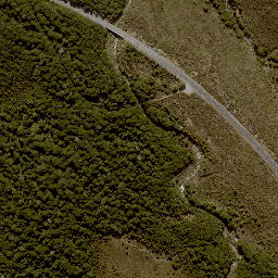 Satellite imagery of 11271, NZ