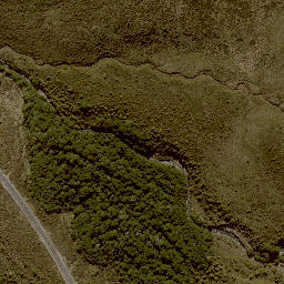 Satellite imagery of 11271, NZ