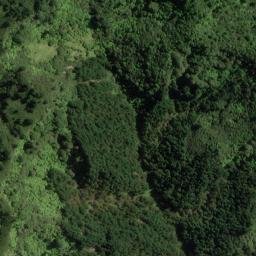 Satellite imagery of 11075, NZ