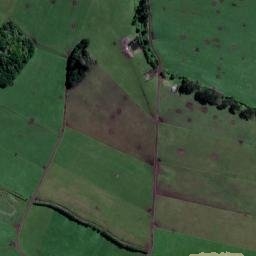 Satellite imagery of Puniho Pa, NZ