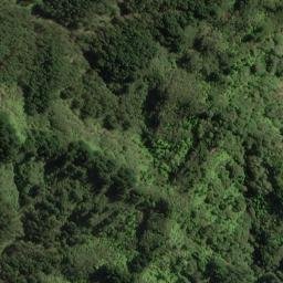 Satellite imagery of 11075, NZ