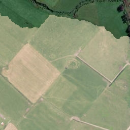 Satellite imagery of Puniho Pa, NZ
