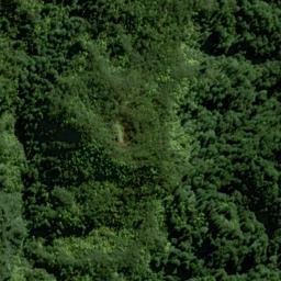 Satellite imagery of 11071, NZ