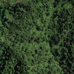 Satellite imagery of POHOKURA KNOB, NZ