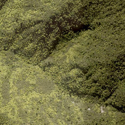 Satellite imagery of MANGAPURUA, NZ