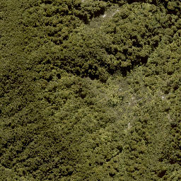 Satellite imagery of MANGAPURUA, NZ