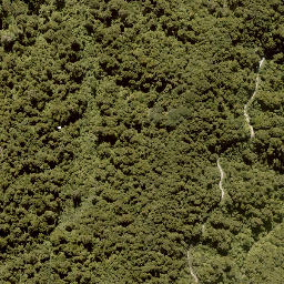 Satellite imagery of MANGAPURUA, NZ