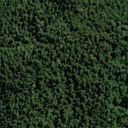 Satellite imagery of NARROWS (MWD), NZ