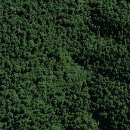 Satellite imagery of NARROWS (MWD), NZ