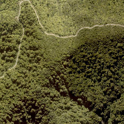 Satellite imagery of MANGAPURUA, NZ