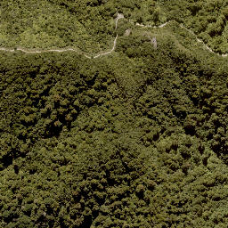 Satellite imagery of MANGAPURUA, NZ