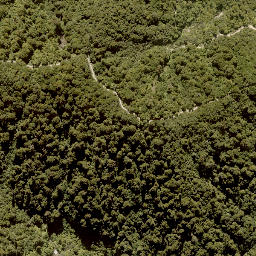 Satellite imagery of MANGAPURUA, NZ