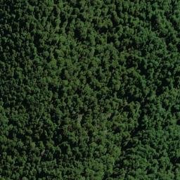 Satellite imagery of NARROWS (MWD), NZ