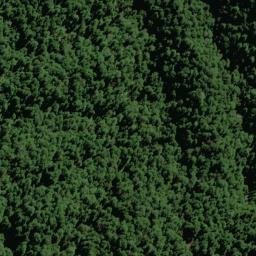 Satellite imagery of NARROWS (MWD), NZ
