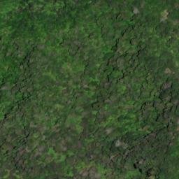 Satellite imagery of 11072, NZ