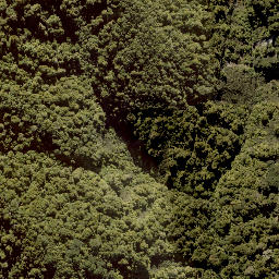 Satellite imagery of MANGAPURUA, NZ