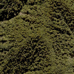 Satellite imagery of MANGAPURUA, NZ
