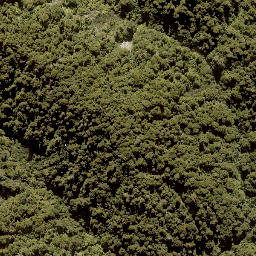 Satellite imagery of MANGAPURUA, NZ