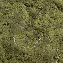 Satellite imagery of MORINUI, NZ