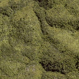 Satellite imagery of MORINUI, NZ