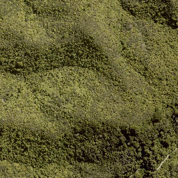 Satellite imagery of MORINUI, NZ