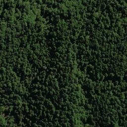 Satellite imagery of XXXVII(MD), NZ