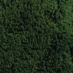 Satellite imagery of XXXVII(MD), NZ