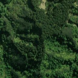 Satellite imagery of L RATA, NZ