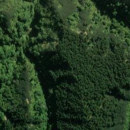 Satellite imagery of L RATA, NZ