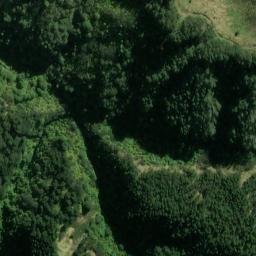 Satellite imagery of L RATA, NZ