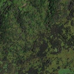 Satellite imagery of 11084, NZ
