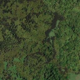 Satellite imagery of 11084, NZ