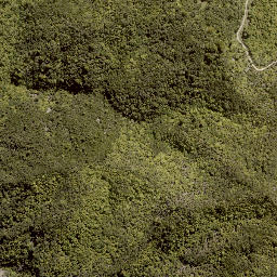 Satellite imagery of MORINUI, NZ