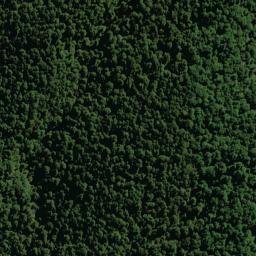 Satellite imagery of XVII (MWD), NZ