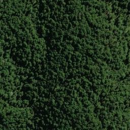 Satellite imagery of XVII (MWD), NZ