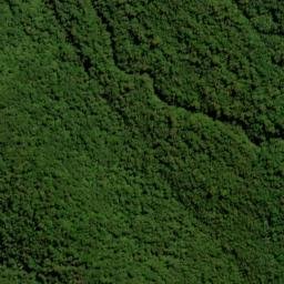 Satellite imagery of Dover Spur, NZ