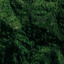 Satellite imagery of L RATA, NZ