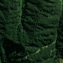 Satellite imagery of L RATA, NZ