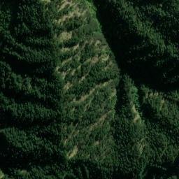 Satellite imagery of L RATA, NZ