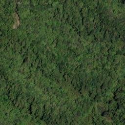 Satellite imagery of 11083, NZ