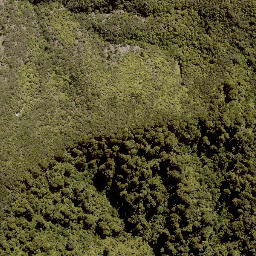 Satellite imagery of MORINUI, NZ