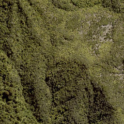 Satellite imagery of MORINUI, NZ
