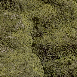 Satellite imagery of MORINUI, NZ