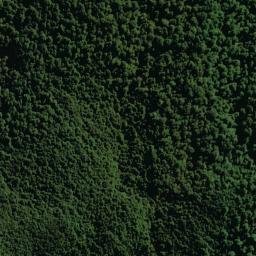 Satellite imagery of XVII (MWD), NZ